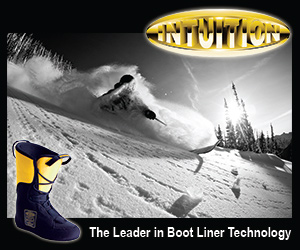 Intuition Boot Liners